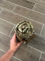 IMG_2146.jpeg