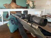 IMG_8317.jpeg