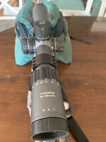 IMG_8318.jpeg