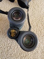 20250310_134216.jpg
