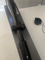 IMG_1003.jpeg