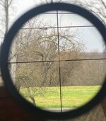 IMG_3619.jpeg