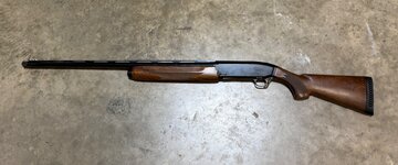 IMG_2910.jpeg