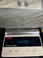 IMG_8927.jpeg