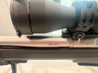 IMG_5337.jpeg