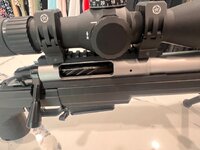 IMG_5335.jpeg