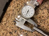IMG_2025-03-20-210640.jpeg