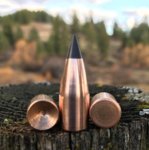 new parker bullet.jpg