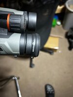 IMG_7902.JPG
