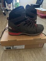 IMG_3750.jpeg