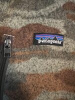 IMG_3247.jpeg