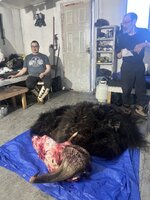 IMG_3565.jpeg IMG_3565.jpeg