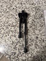 IMG_2755.jpeg