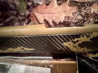 IMG_5179.jpeg