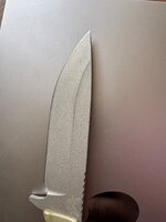 IMG_6666.jpeg