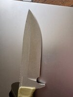 IMG_6664.jpeg