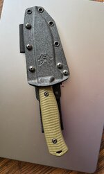 IMG_6667.jpeg