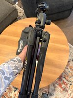 IMG_0378.jpeg