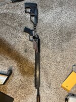 IMG_7948.jpeg