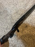 IMG_7950.jpeg