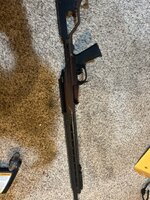 IMG_7951.jpeg