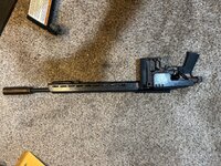 IMG_7952.jpeg