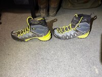 IMG_6388.jpeg