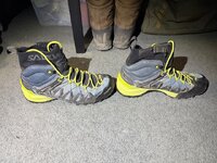 IMG_6387.jpeg