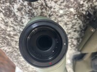 IMG_9771.jpeg