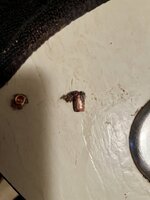 IMG_1757.jpeg