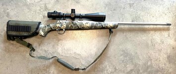 Kimber 1.JPG