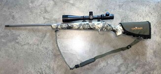 Kimber3.JPG