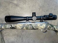 Kimber4.JPG