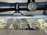 Kimber5.JPG