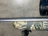 Kimber6.JPG