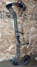 IMG_2570.jpeg