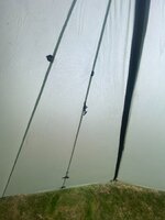 IMG_3606.jpeg