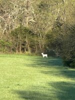 IMG_5147.jpeg