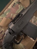 IMG_1856.jpeg IMG_1856.jpeg