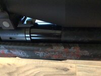 IMG_0084.jpeg