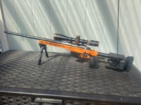 IMG_0843.jpeg