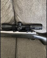 IMG_0401.jpeg
