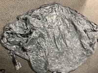 IMG_8384.jpeg