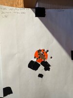 IMG_8206.jpeg