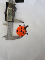IMG_8207.jpeg