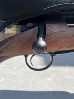IMG_5602.jpeg
