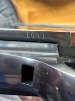 IMG_4728.jpeg