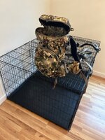IMG_2123.jpeg