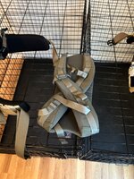 IMG_2121.jpeg