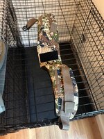 IMG_2120.jpeg